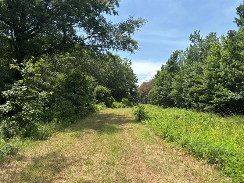 262 Acres in Chicot County, AR : Eudora : Chicot County : Arkansas