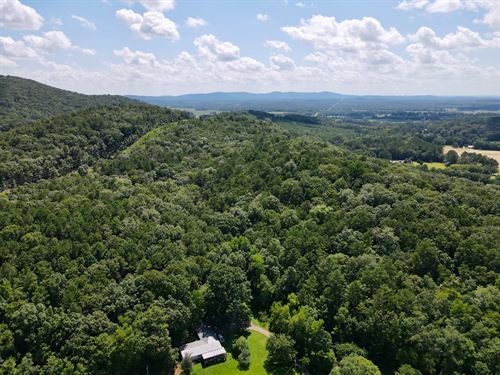 Short Rd. 25 Acres : Alpine : Talladega County : Alabama