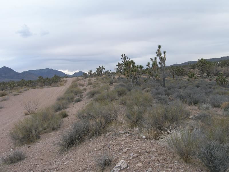 Picturesque Lake Mead City 1.25 : Meadview : Mohave County : Arizona