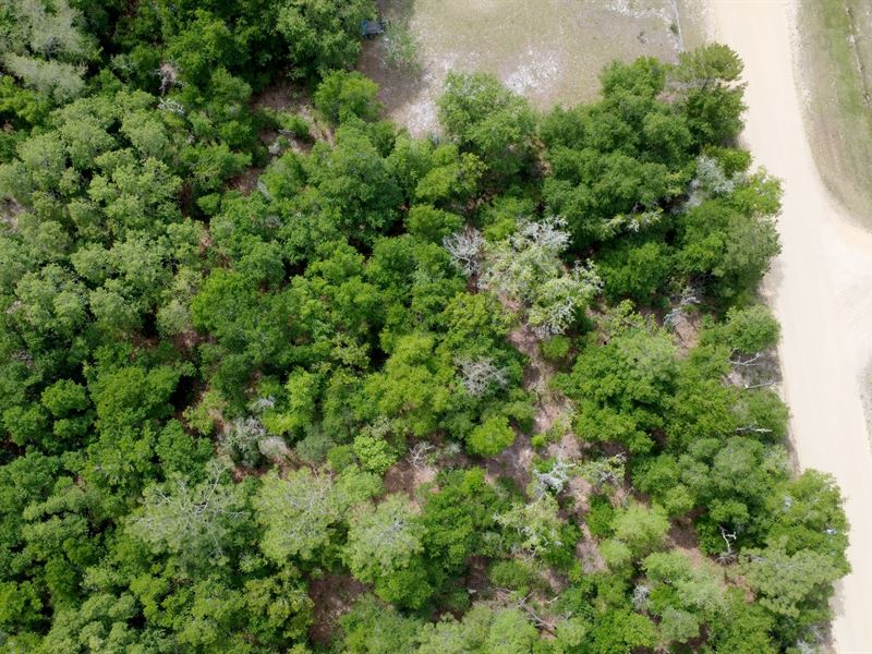 Vacant Lot in Interlachen : Interlachen : Putnam County : Florida