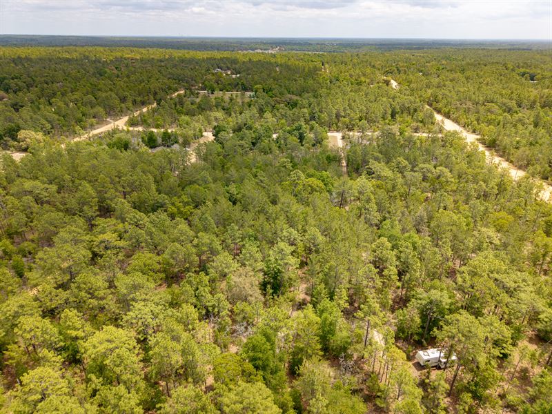 Interlachen with Nearby Lake : Interlachen : Putnam County : Florida