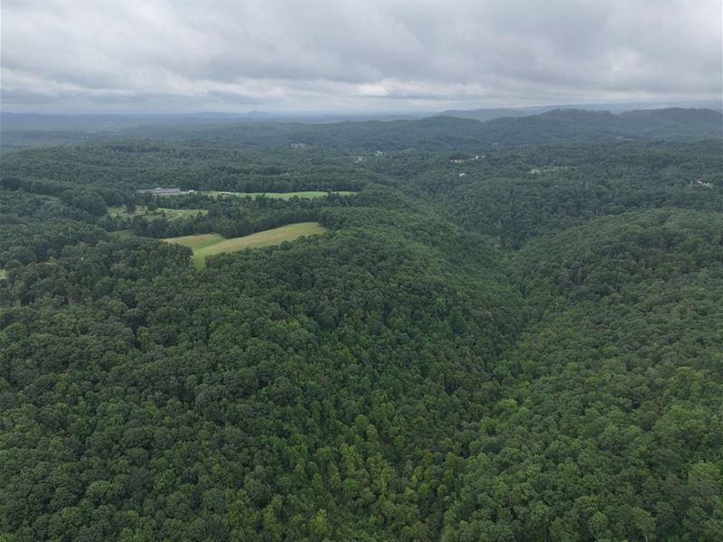 60 Acres in Mercer County WV : Rock : Mercer County : West Virginia