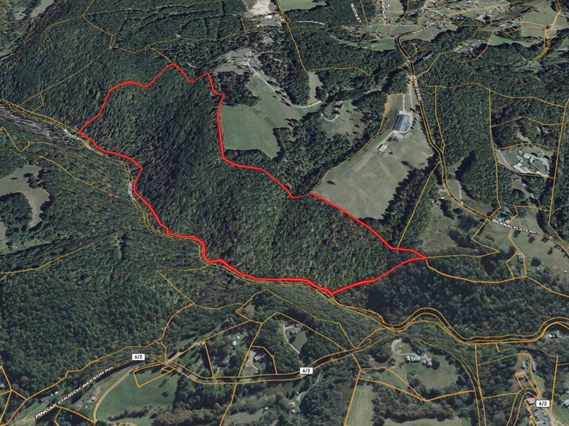 60 Acres in Mercer County WV : Rock : Mercer County : West Virginia