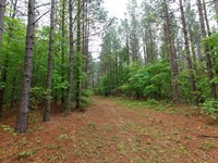 $999 Down/No Credit Check : Holladay : Benton County : Tennessee