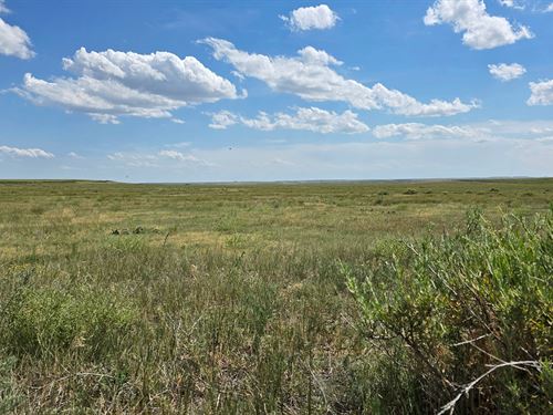 Montgomery Family Crp & Pasture : Sterling : Logan County : Colorado