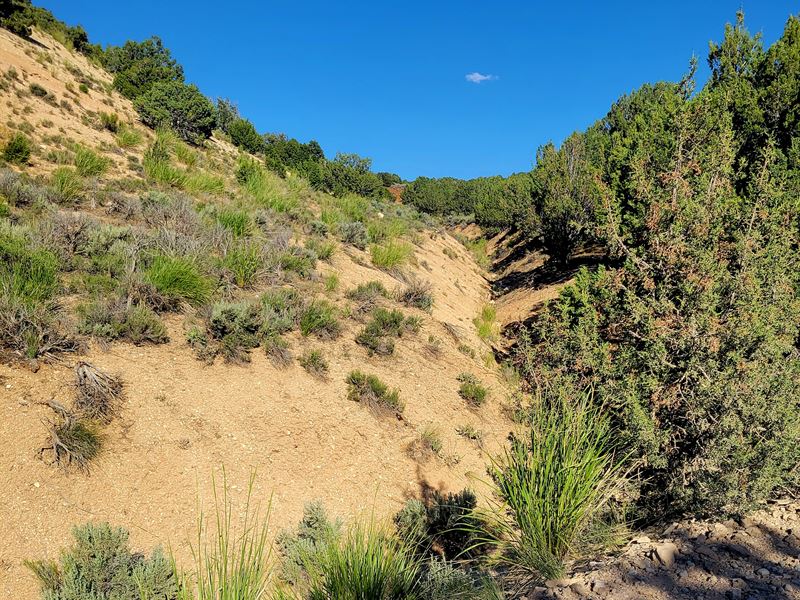 1.03 Acres of Freedom Near Elko : Elko : Elko County : Nevada