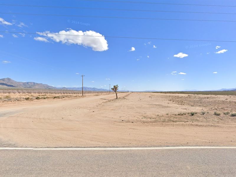 Own Land Near The Grand Canyon : Meadview : Mohave County : Arizona