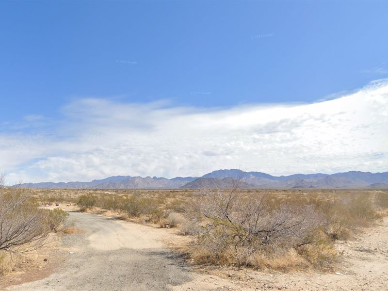 Freedom, Space & Opportunity : Yucca : Mohave County : Arizona