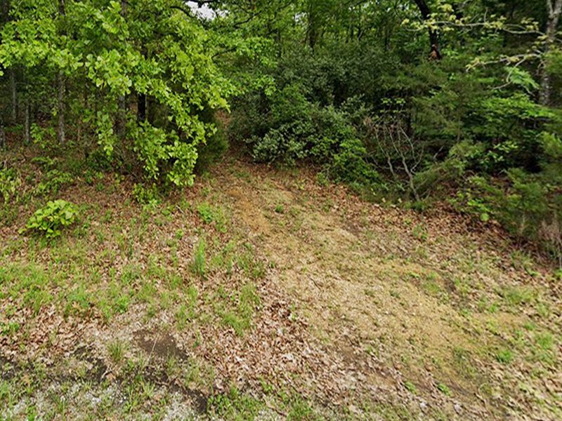 Discover Your Dream Property : Horseshoe Bend : Izard County : Arkansas