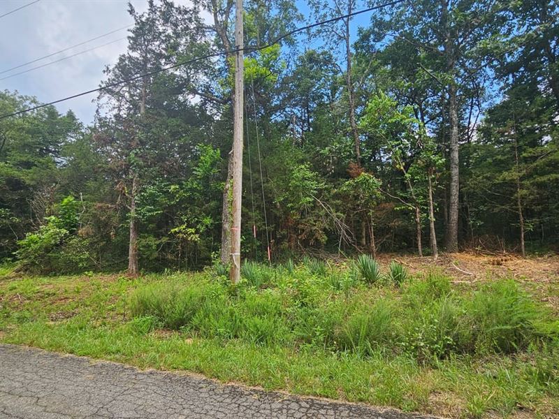 Fulton Co, Cherokee Village, Wal : Cherokee Village : Fulton County : Arkansas