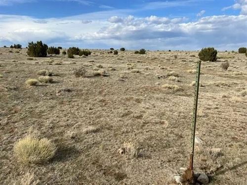 220 Rio Cucharas Ph 1, Walsenburg : Walsenburg : Huerfano County : Colorado