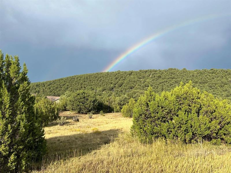 421 Memory Lane, Trinidad, Co 81082 : Trinidad : Las Animas County : Colorado