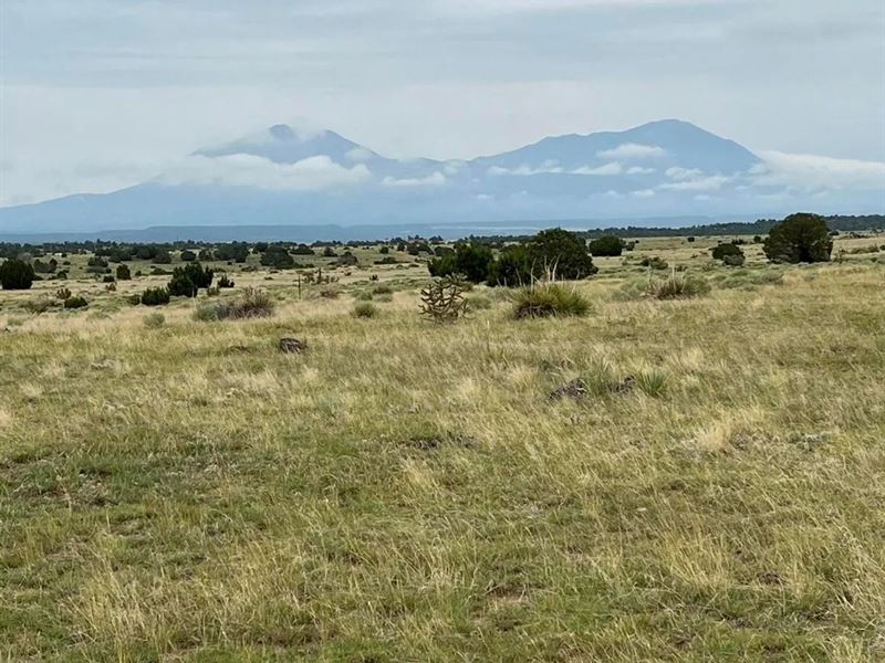 215 Greenhorn Village, Walsenburg : Walsenburg : Huerfano County : Colorado