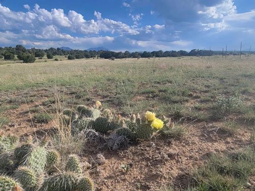 Lot 47 Greenhorn Village Tr 1 Lot : Walsenburg : Huerfano County : Colorado