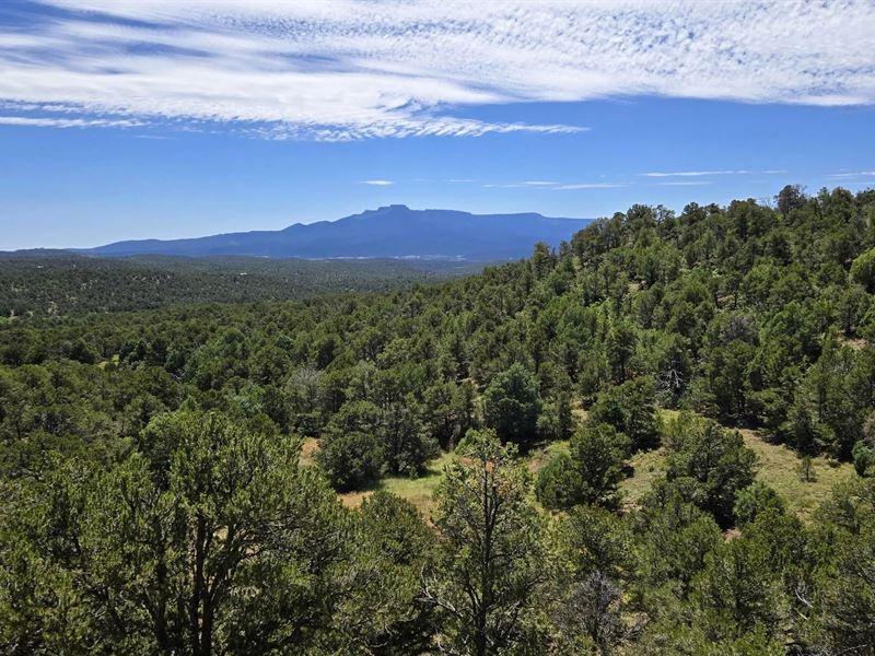 15 Picketwire Ranch Filing 4, Trin : Trinidad : Huerfano County : Colorado