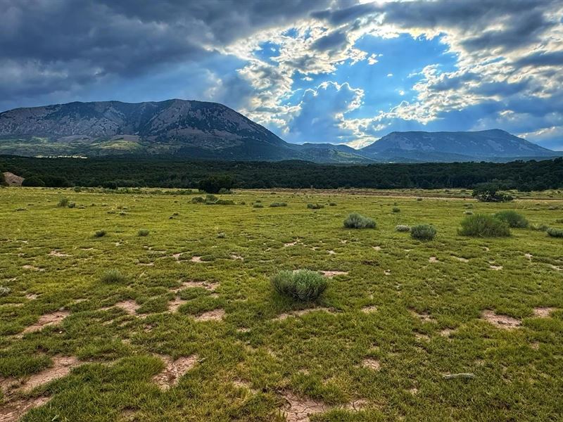 Lot 102 Cl&G Cc, Gardner, Co 81 : Gardner : Huerfano County : Colorado