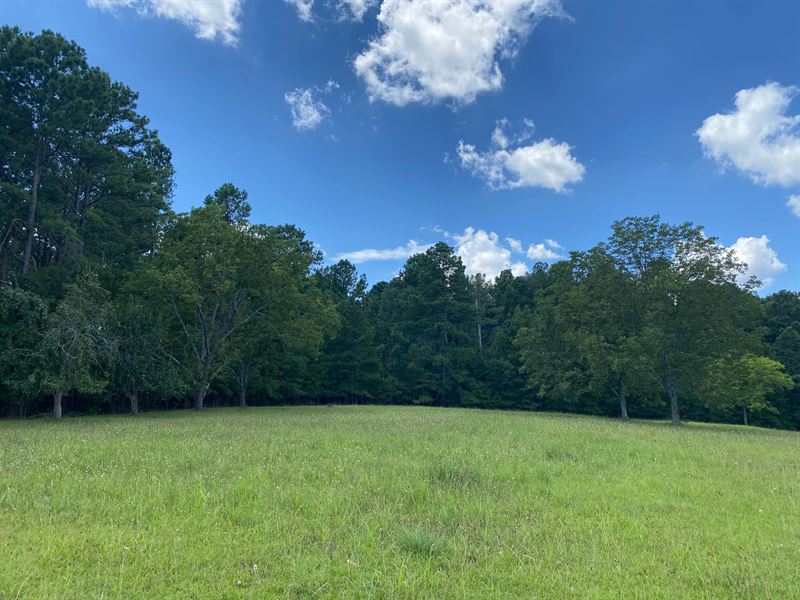 2.94 Acres On Sandy Springs Road : Pelzer : Greenville County : South Carolina