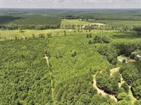 Updated, 3.38 Acres of Vacant Lan : Warrenton : Warren County : North Carolina