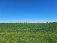 70 Acres Ranch / Recreational : Coleman : Atoka County : Oklahoma