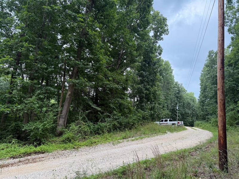 Waterfront Lot, Perfect for Custom : Auxvasse : Callaway County : Missouri