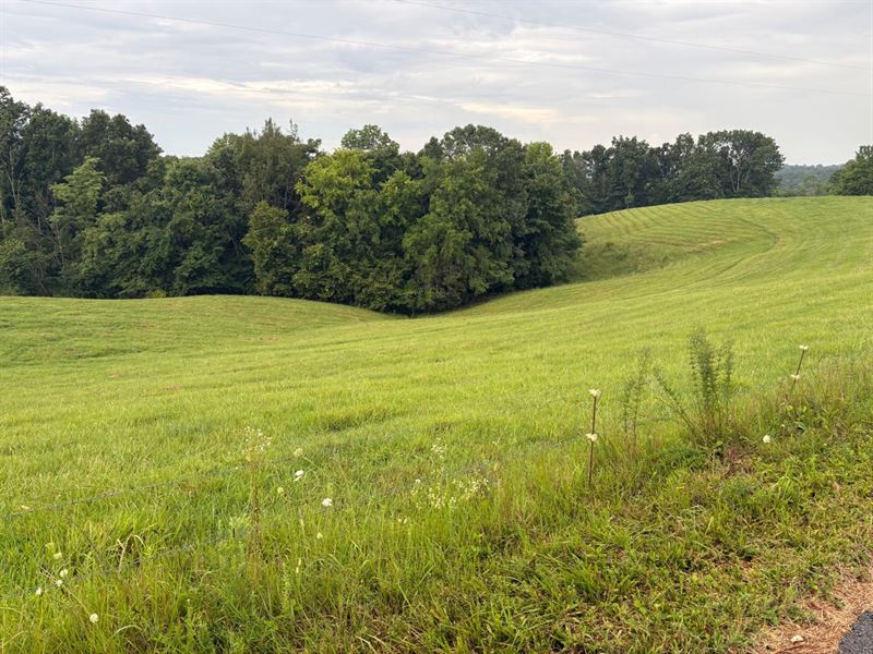 38 Acres with Road Frontage : Columbia : Adair County : Kentucky