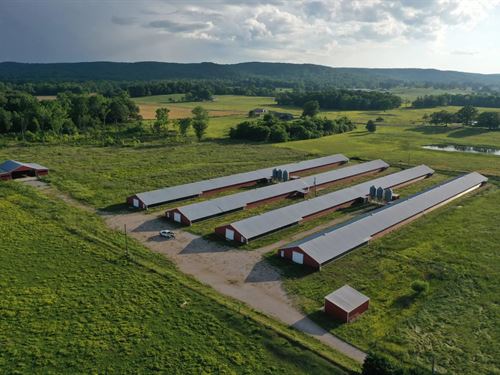 Mount Hope Broilers : Mount Hope : Lawrence County : Alabama