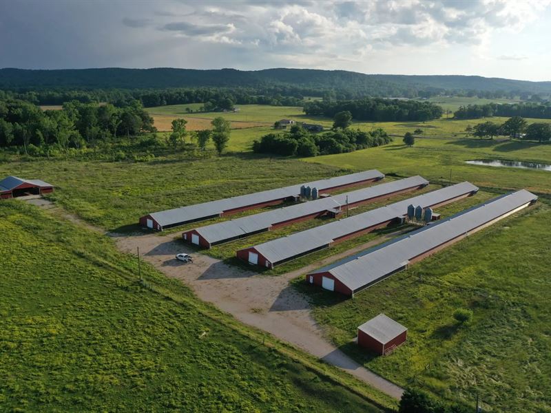 Mount Hope Broilers : Mt. Hope : Lawrence County : Alabama