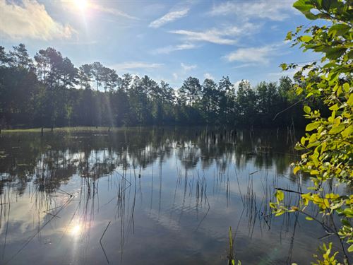 Dickert Tract 4 : Wadley : Randolph County : Alabama