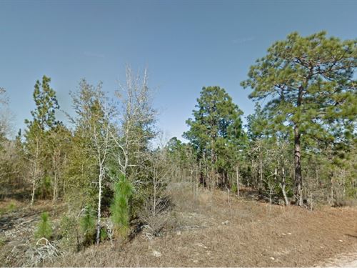 Rv-Ready Lot $199 Down Gets It : Interlachen : Putnam County : Florida