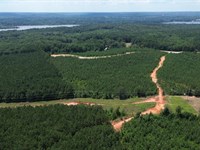 JP Coleman 21.36 : Iuka : Tishomingo County : Mississippi