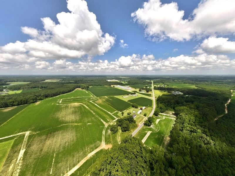 Updated, 51.49 Acres of Resid : Stantonsburg : Wilson County : North Carolina