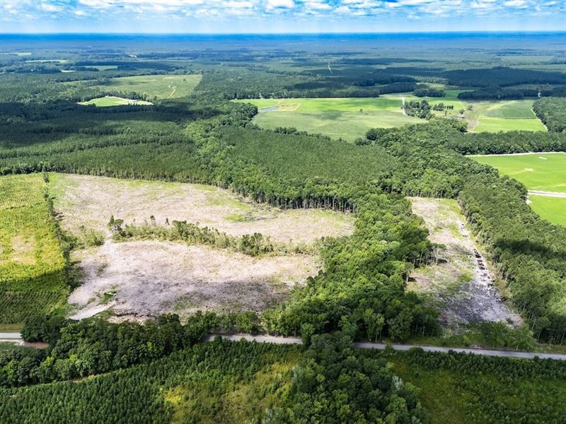 50 Acres of Hunti : Waverly : Sussex County : Virginia