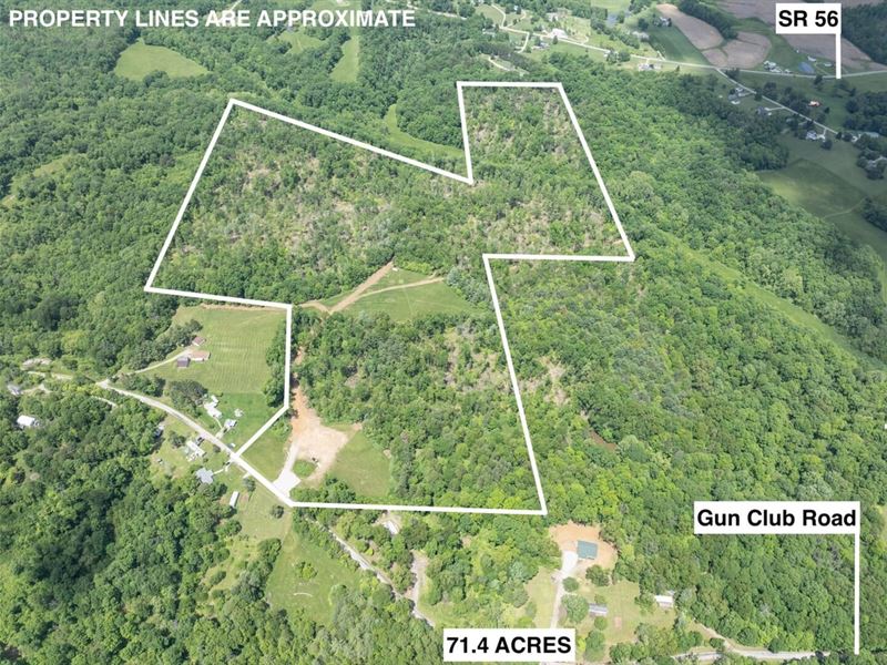 Gun Club Rd, 71 Acres : Athens : Athens County : Ohio