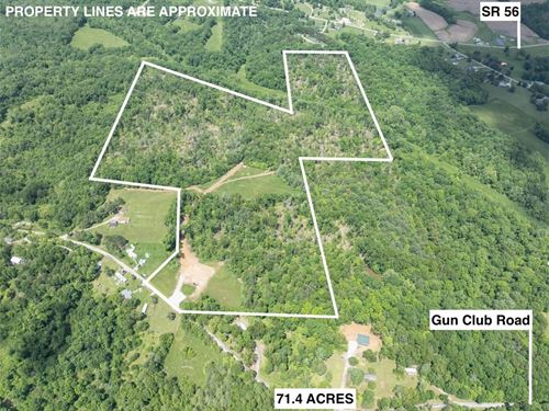 Gun Club Rd, 71 Acres : Athens : Ohio