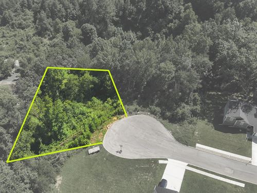 66 Acre Building Lot In Rhea County : Dayton : Rhea County : Tennessee