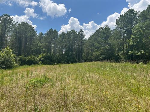 103.5 Acres In Rankin County, MS : Brandon : Rankin County : Mississippi