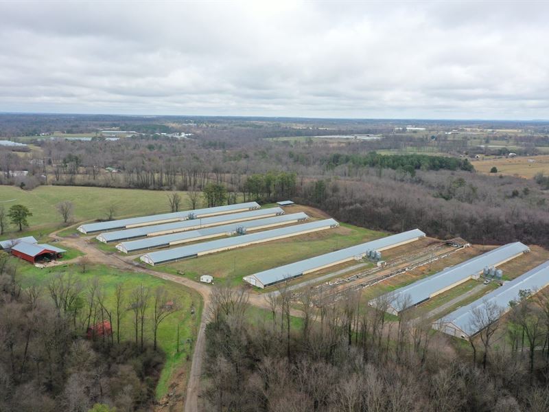 Painter Broiler Farm : Crossville : Dekalb County : Alabama