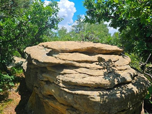 F30 Santa Fe Trail Ranch : Trinidad : Las Animas County : Colorado