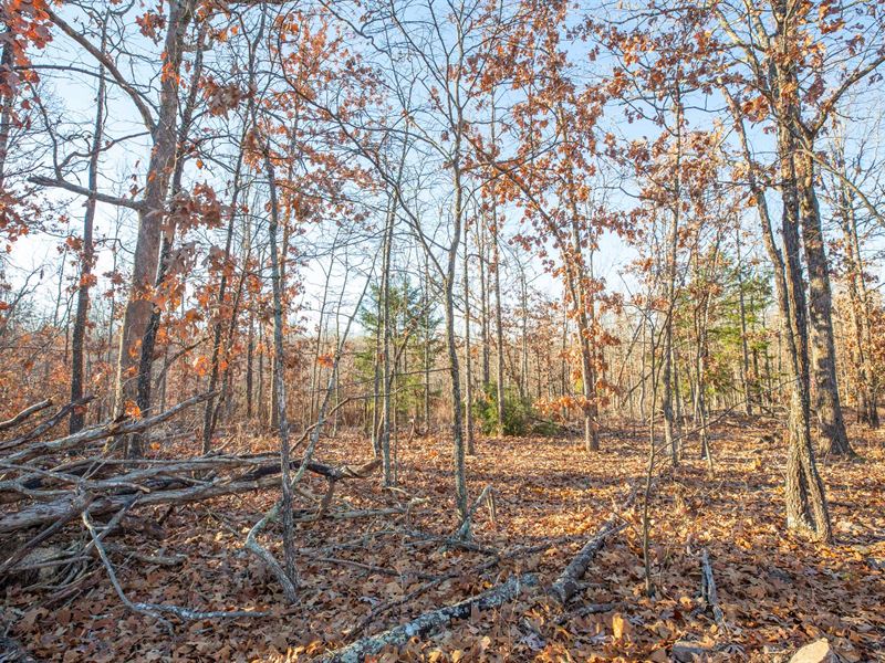 $999 Down/No Credit Check : Mammoth Spring : Fulton County : Arkansas