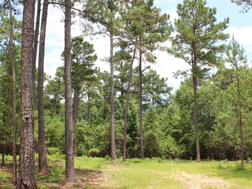 Liberty City Residential Estate : Notasulga : Tallapoosa County : Alabama