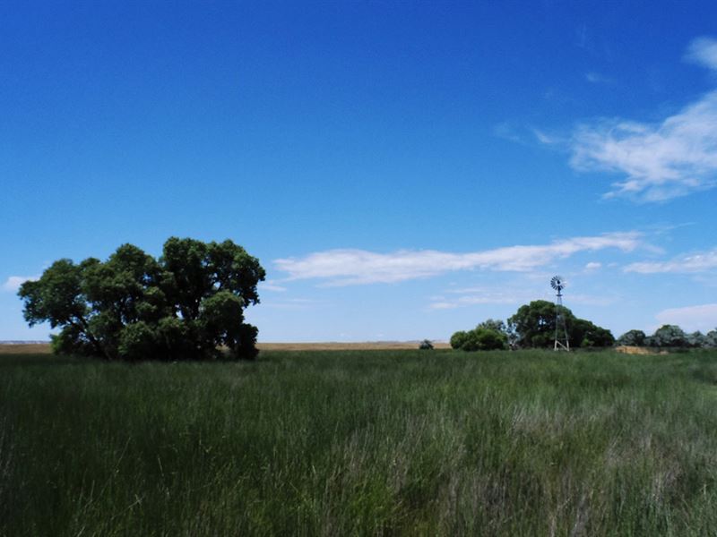 Lummis Pasture : Yoder : Goshen County : Wyoming