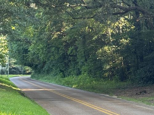 45.5 Acres, Gloucester 45 : Natchez : Adams County : Mississippi