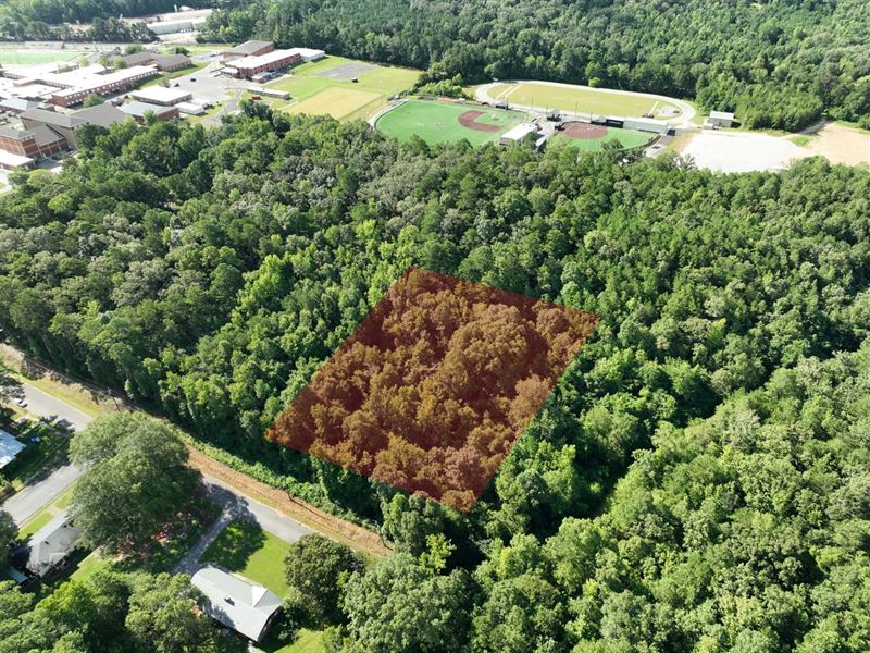 2 Acres in Pell City : Pell City : Saint Clair County : Alabama
