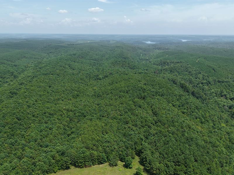 40 Acres East Tract : Grannis : Polk County : Arkansas