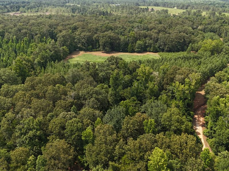159 Acres with A Lodge in Sumter Co : Plains : Sumter County : Georgia