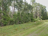 Build or Invest in Georgetown, FL : Georgetown : Putnam County : Florida