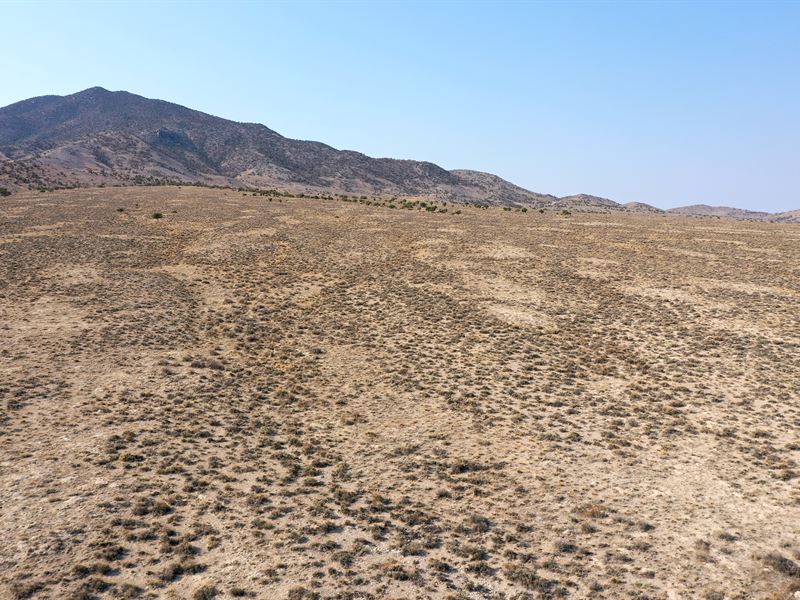 Your Ranch, Your Rules : Montello : Elko County : Nevada