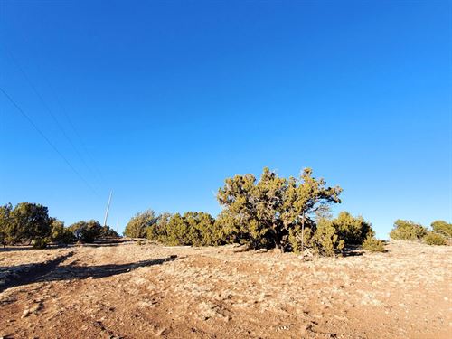 1.05 Acres with Power Available : Concho : Apache County : Arizona