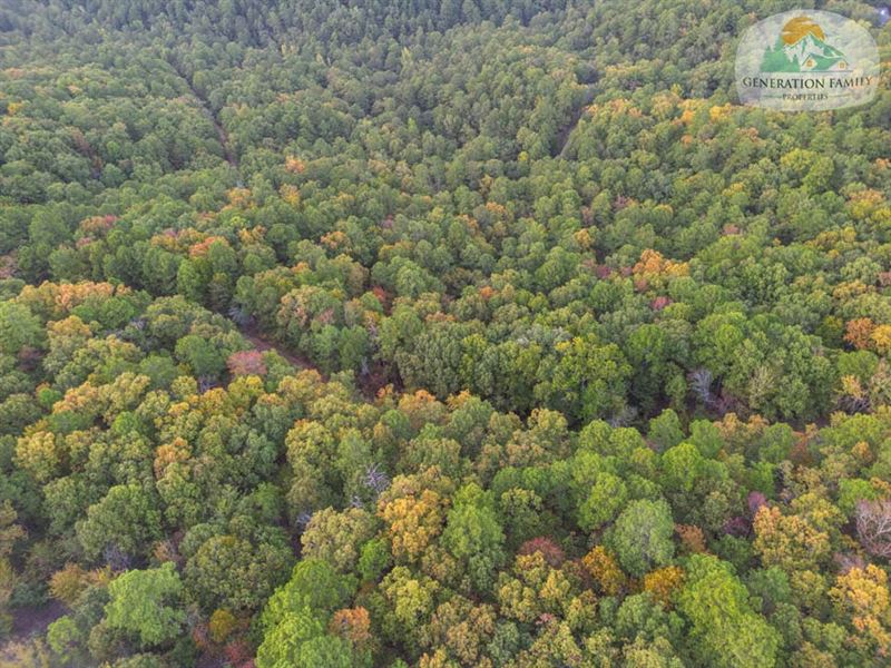 Wooded with Power & Water : Hot Springs Village : Saline County : Arkansas