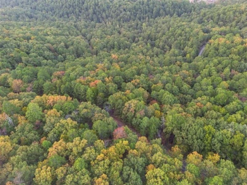 Wooded with Power & Water : Hot Springs Village : Saline County : Arkansas